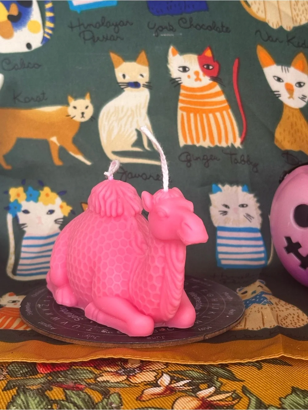 Cosmic camel candle